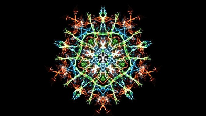 你在出租房屋发现过什么前租客留下的“宝藏”？